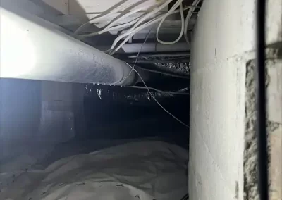 House Repair Contractors